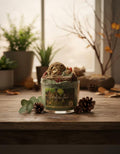 Hand-Poured Hedgehog Candle, Fir Needle Oakmoss Scent